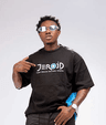 Zlatan Ibile